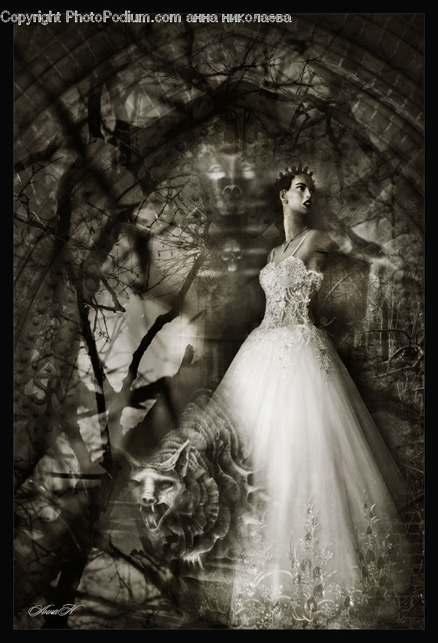 Bride, Gown, Person, Wedding, Birch, Tree, Wood