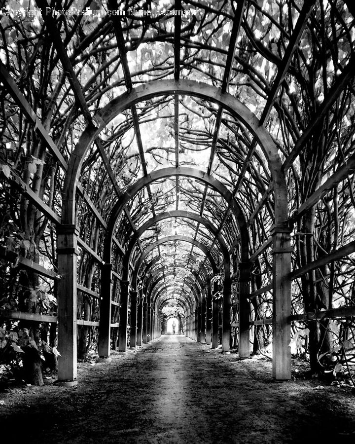 Patio, Pergola, Porch, People, Person, Arbour