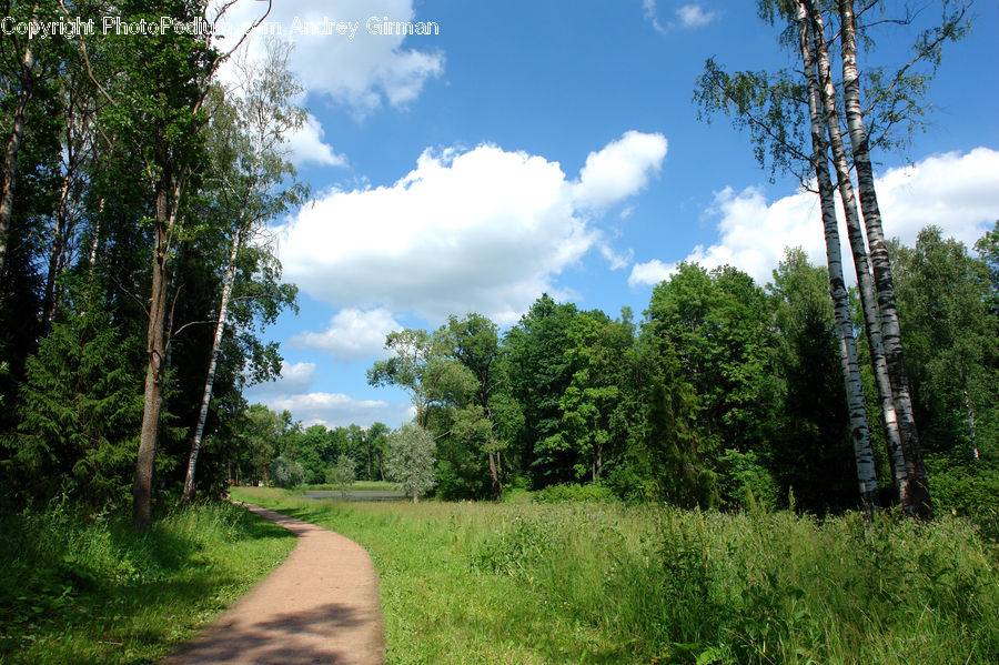 Dirt Road, Gravel, Road, Path, Walkway, Landscape, Nature