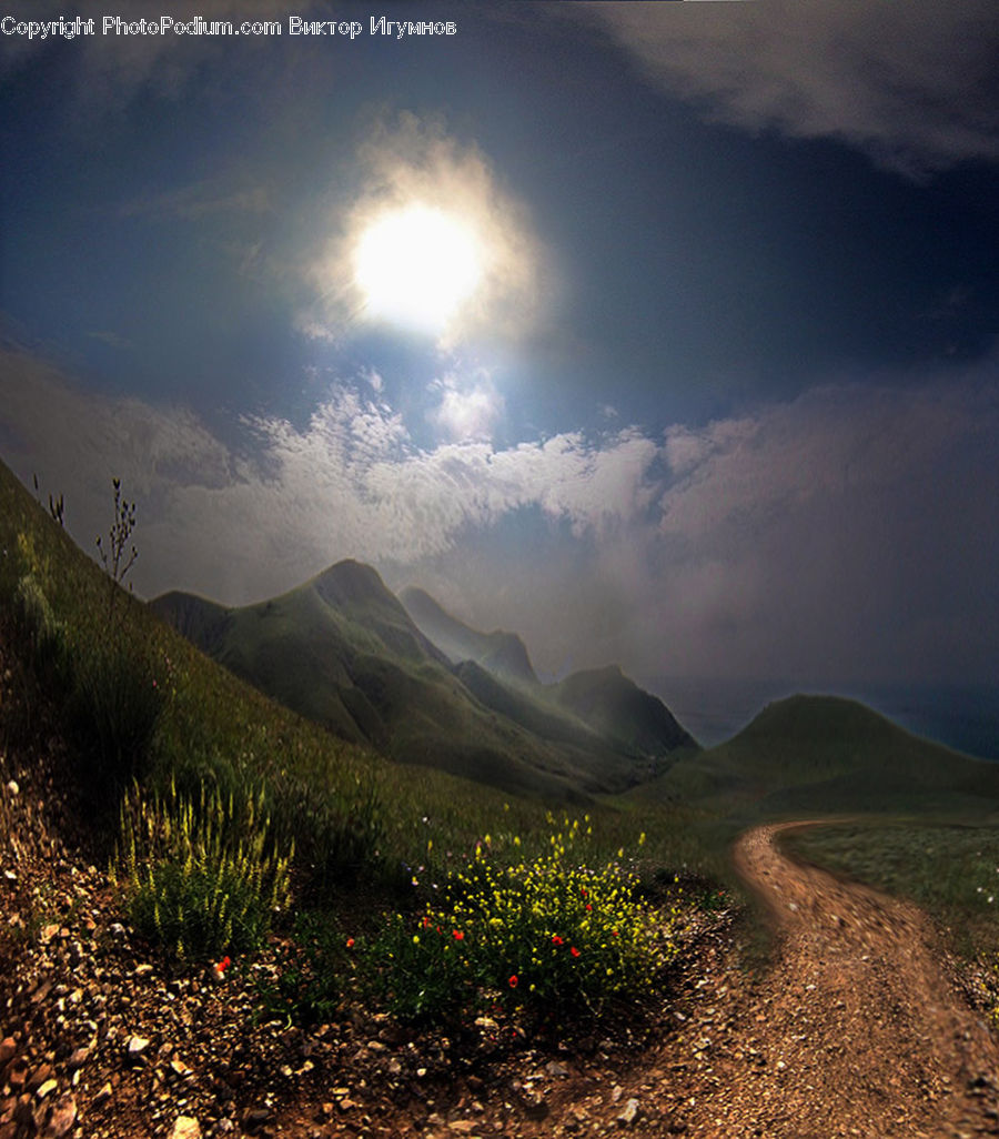 Field, Grass, Grassland, Land, Outdoors, Dirt Road, Gravel