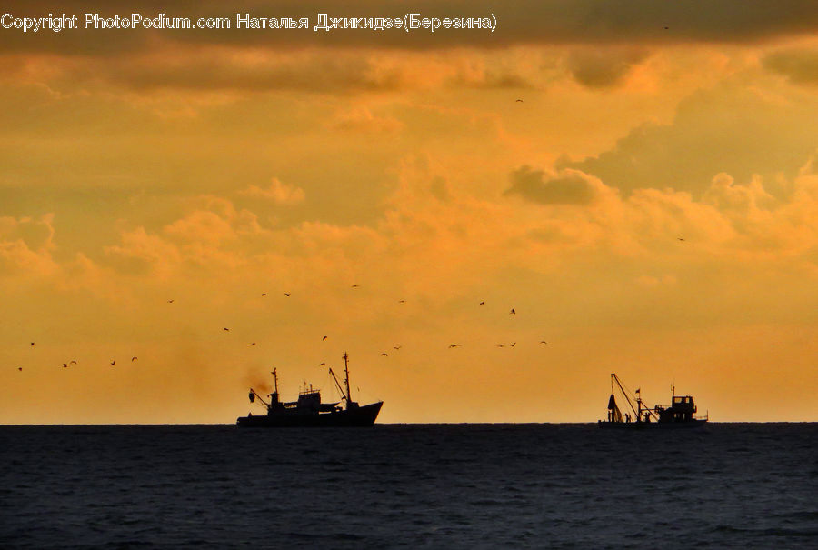 Ferry, Freighter, Ship, Tanker, Vessel, Harbor, Port
