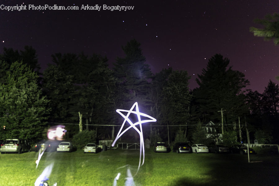 Night, Outdoors, Starry Sky, Universe, Plant, Tree, Conifer