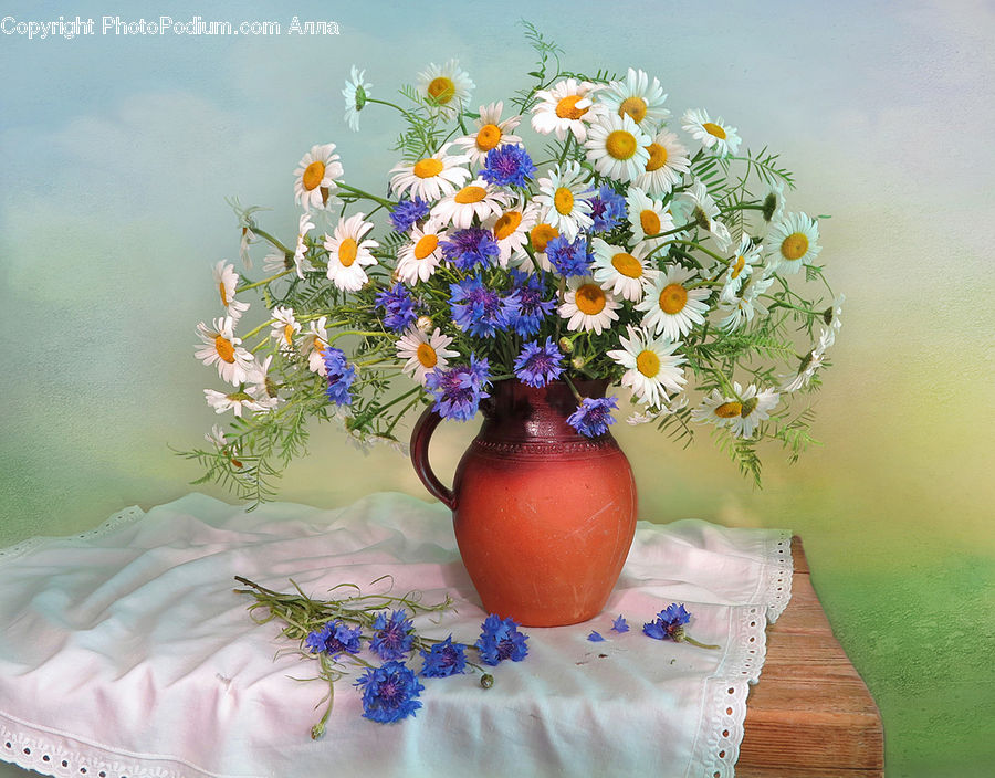 Jar, Porcelain, Vase, Flower, Flower Arrangement, Flower Bouquet, Floral Design
