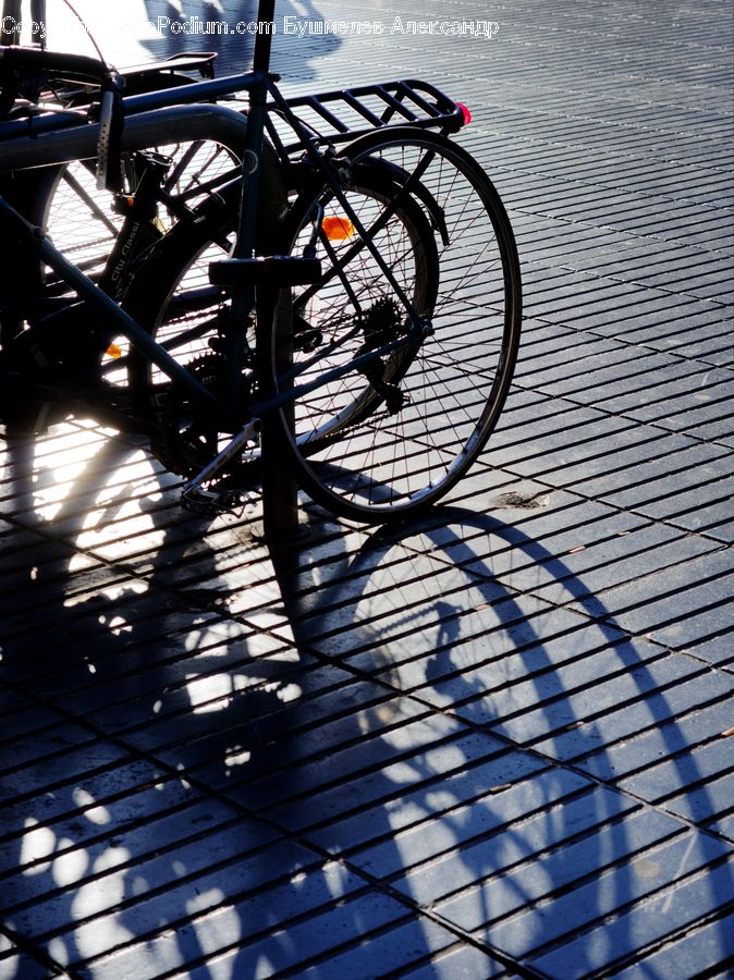 Bicycle, Bike, Vehicle, Boardwalk, Deck, Path, Sidewalk