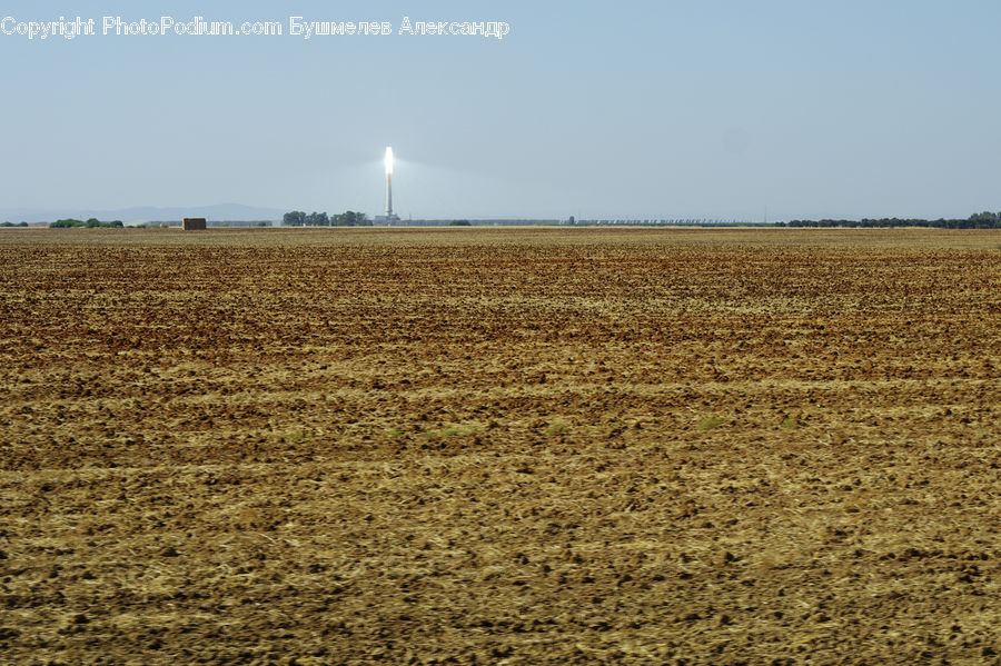 Soil, Grain, Wheat