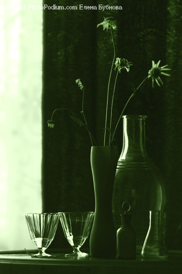 Glass, Goblet, Plant, Vine, Apiaceae, Blossom, Flower