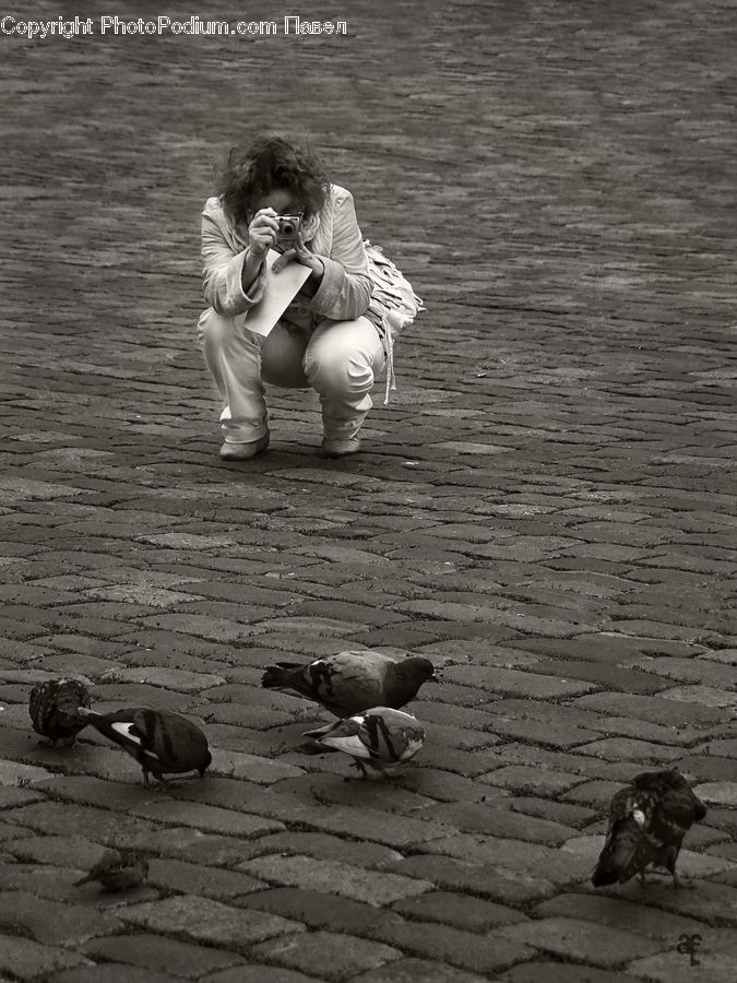 People, Person, Human, Bird, Pigeon, Photographer, Hug