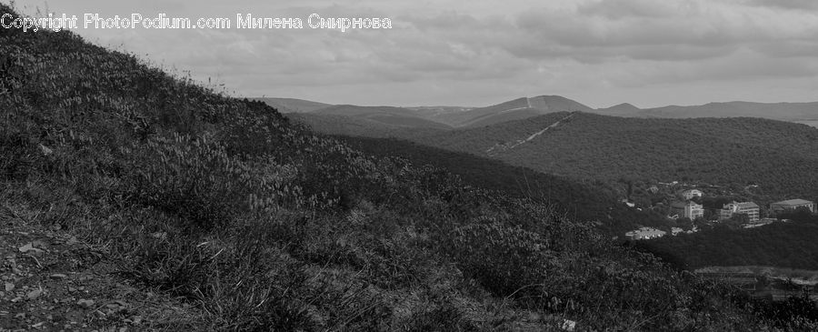 Countryside, Hill, Outdoors, Bush, Plant, Vegetation, Forest