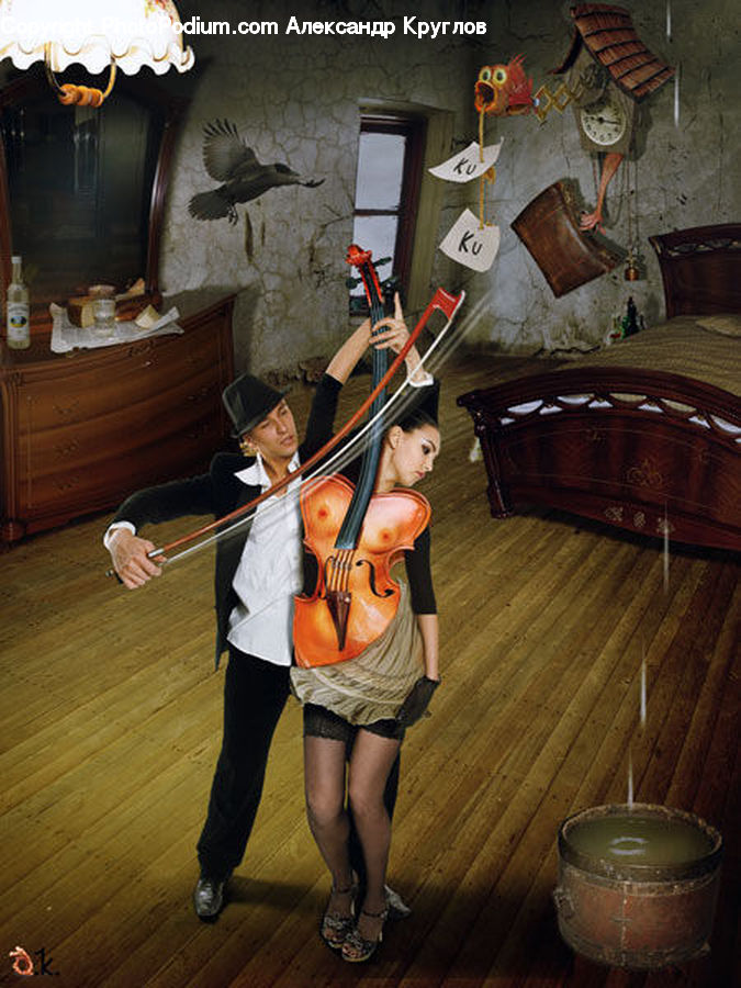 Human, People, Person, Bird, Cello, Fiddle, Musical Instrument