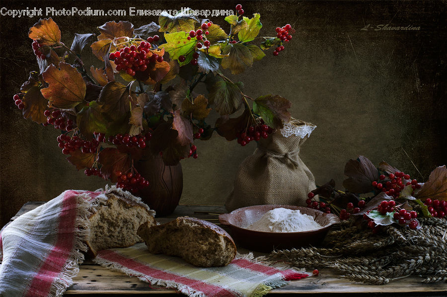 Plant, Potted Plant, Vine, Fruit, Grapes, Ivy, Leaf