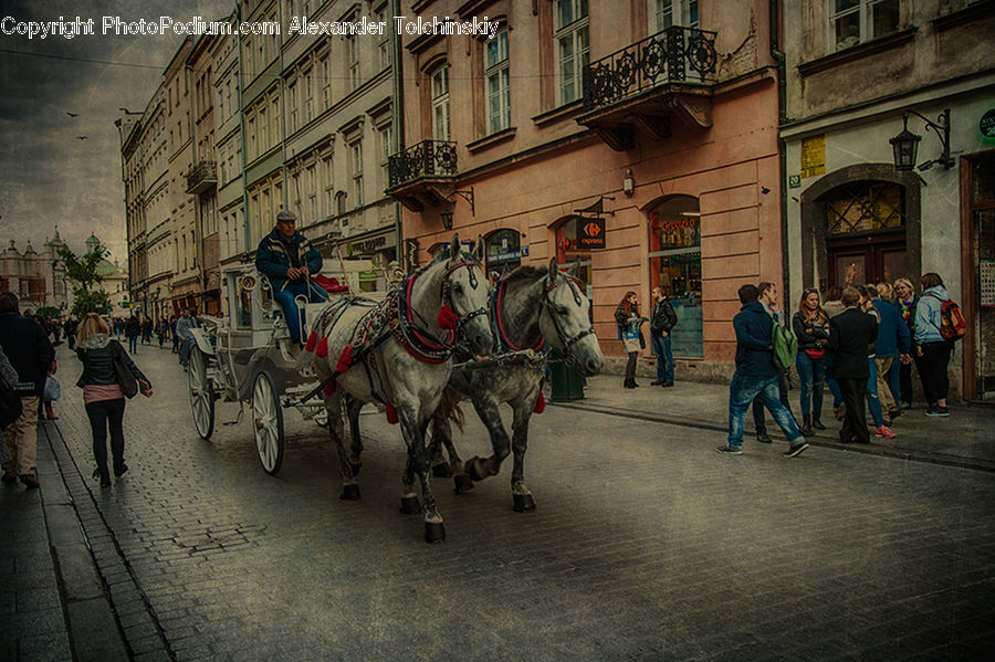 Carriage, Horse Cart, Vehicle, Animal, Horse, Mammal, Pedestrian