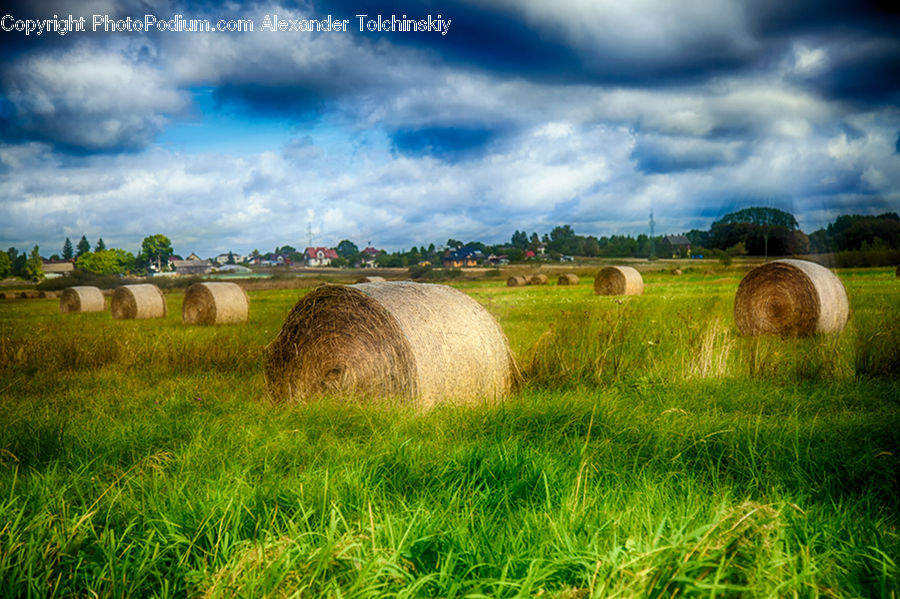 Countryside, Hay, Straw, Field, Grass, Grassland, Land
