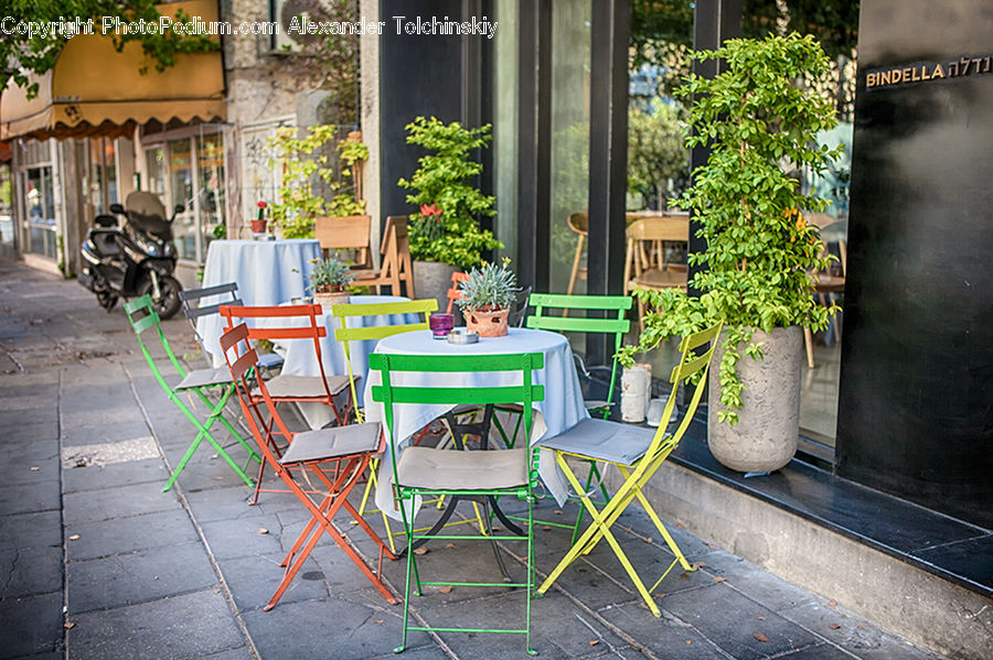 Chair, Furniture, Patio, Plant, Potted Plant, Balcony, Cafe