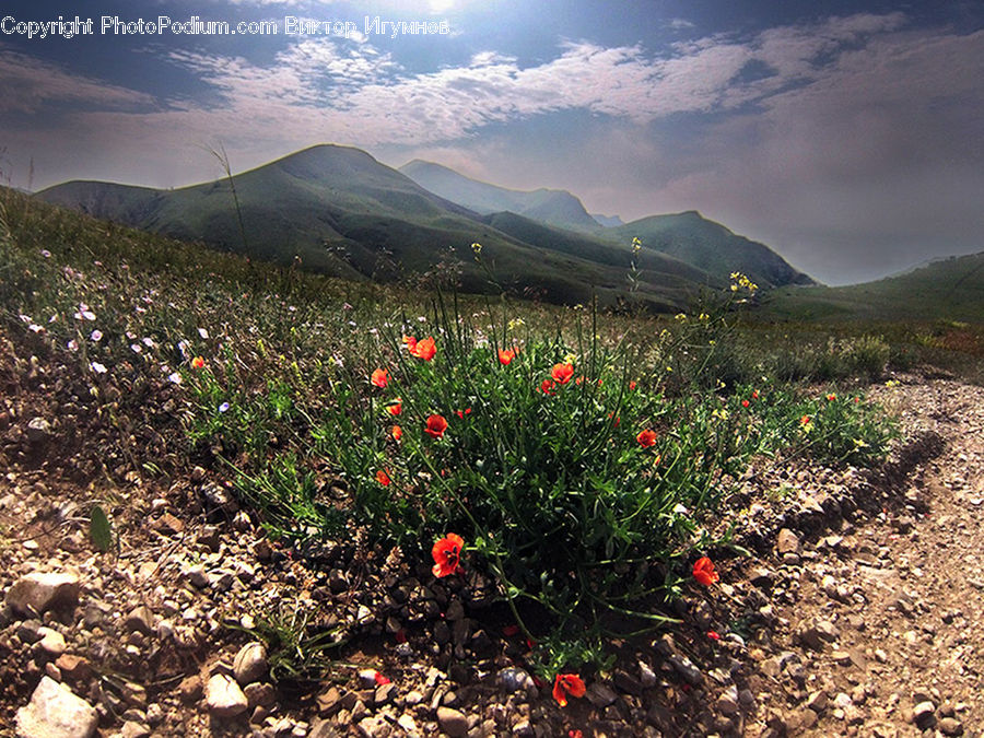 Outdoors, Plateau, Mountain, Mountain Range, Field, Grass, Grassland