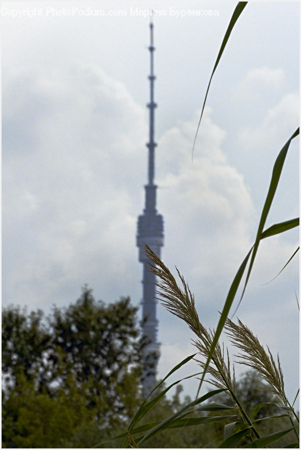 Field, Grass, Grassland, Plant, Architecture, Bell Tower, Clock Tower