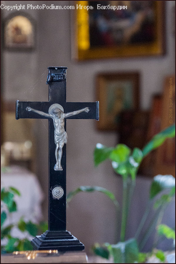 Cross, Crucifix, Head, Portrait