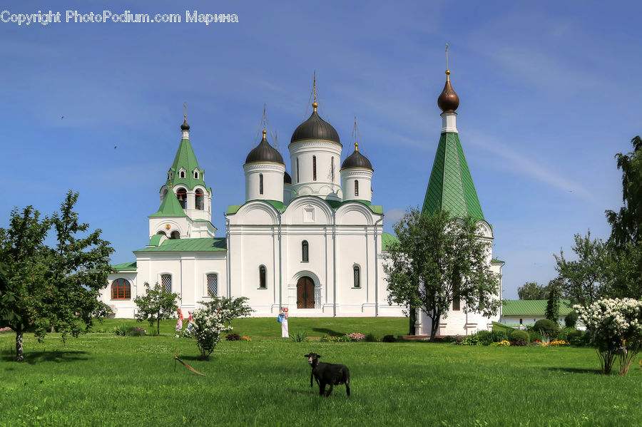 Architecture, Church, Worship, Spire, Steeple, Tower, Field