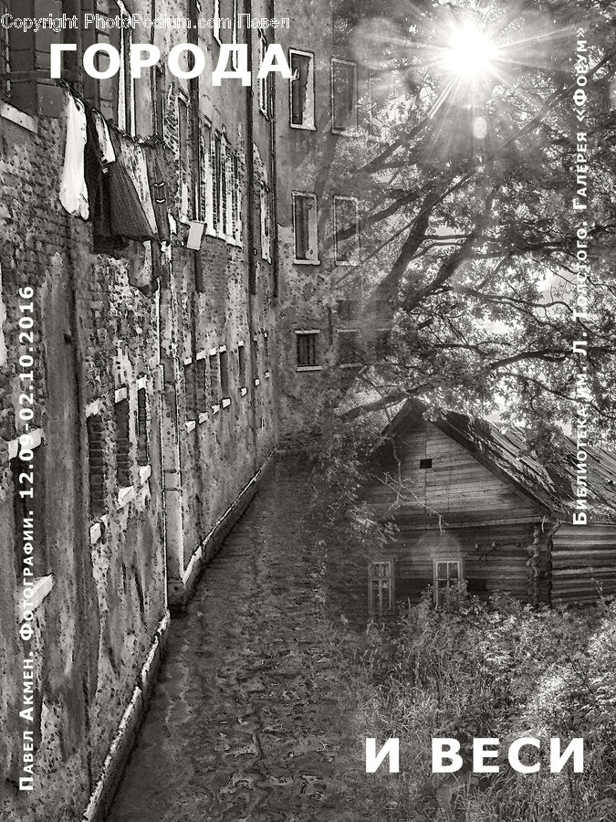 Alley, Alleyway, Road, Street, Town, Building, Downtown