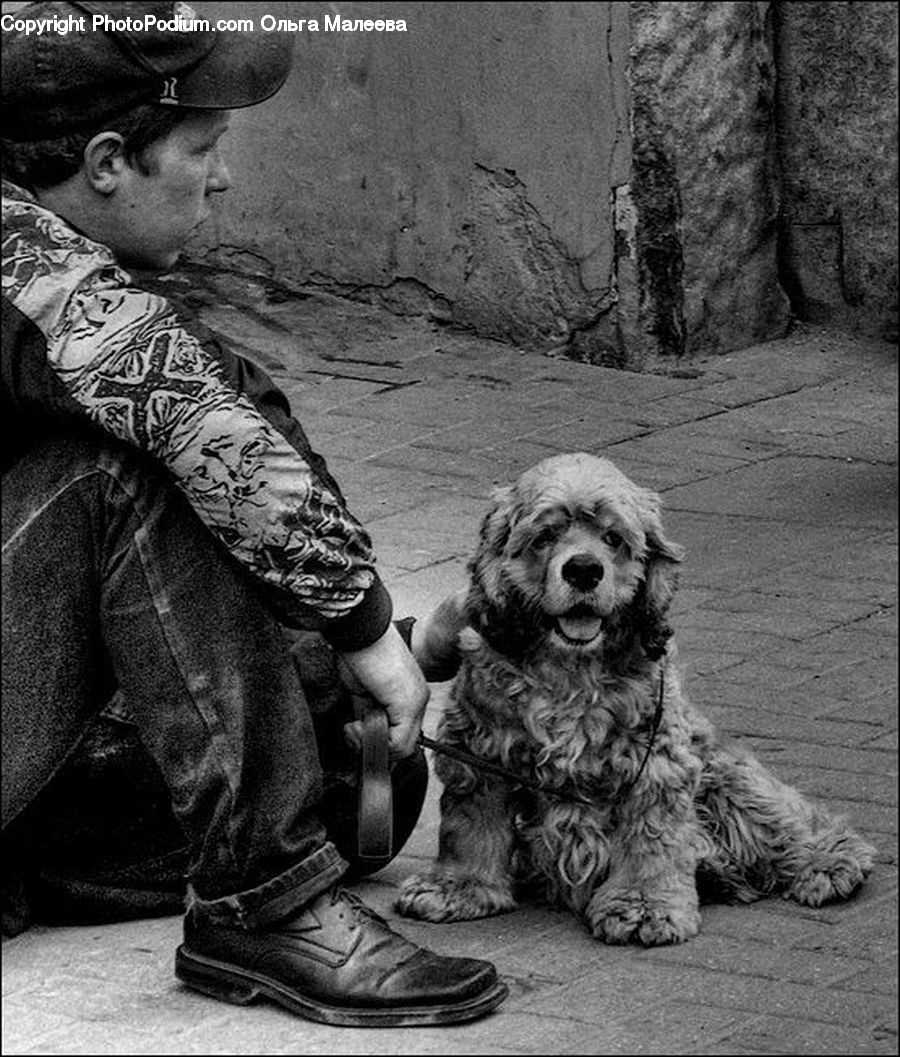 People, Person, Human, Animal, Canine, Cocker Spaniel, Dog