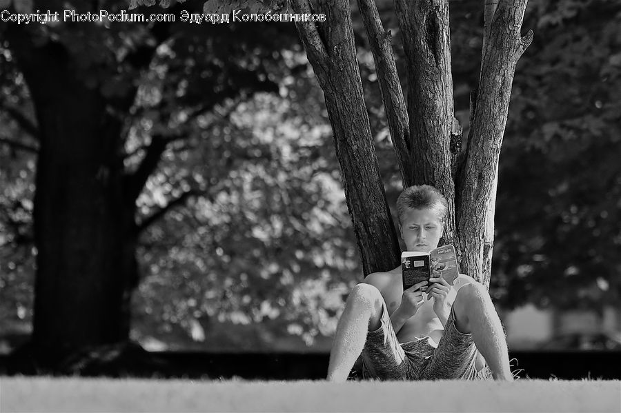 People, Person, Human, Playground, Swing, Bench, Oak