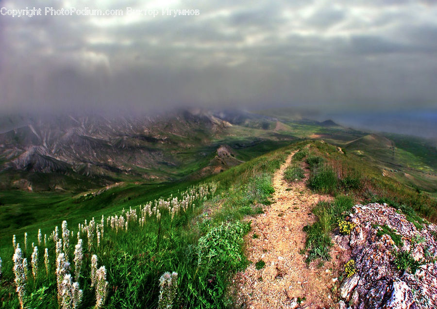 Field, Grass, Grassland, Plant, Land, Outdoors, Mountain