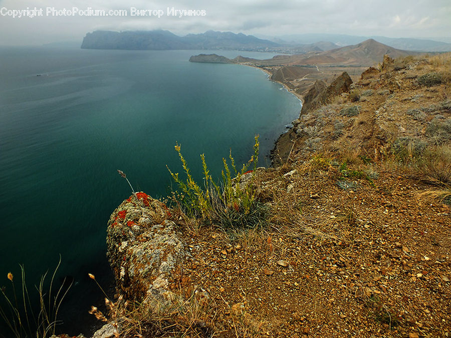 Plant, Weed, Coast, Outdoors, Sea, Water, Landscape