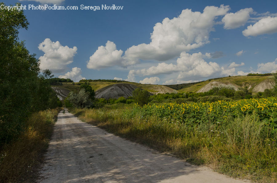 Dirt Road, Gravel, Road, Landscape, Nature, Scenery
