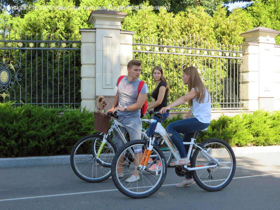 People, Person, Human, Bicycle, Bike, Vehicle, Cyclist