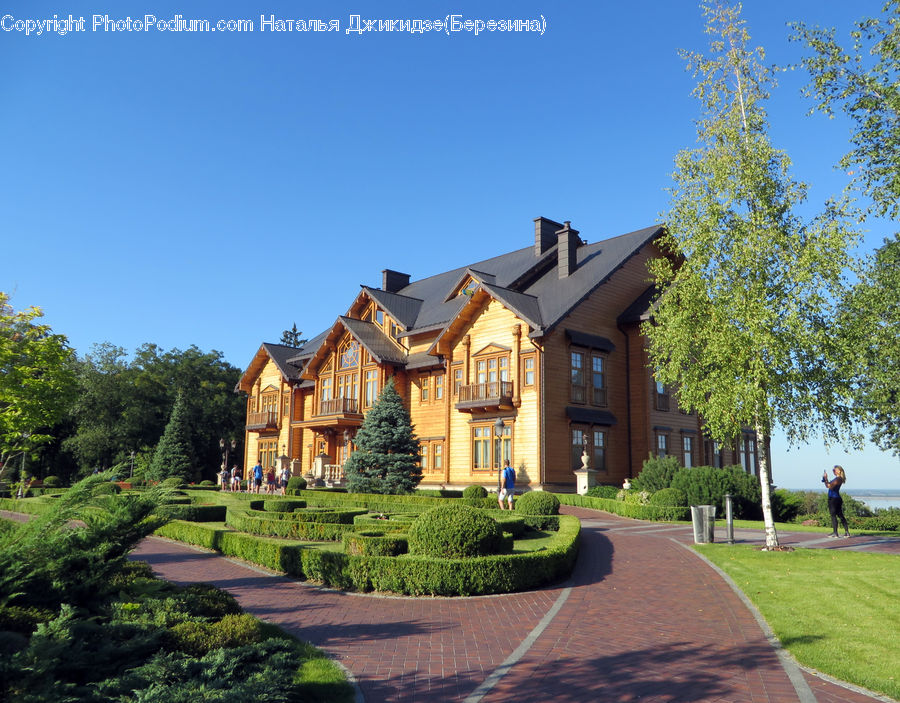 Building, Cottage, Housing, House, Conifer, Fir, Plant