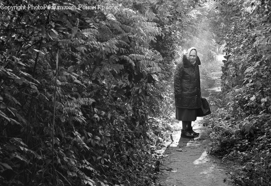 People, Person, Human, Coat, Female, Forest, Jungle