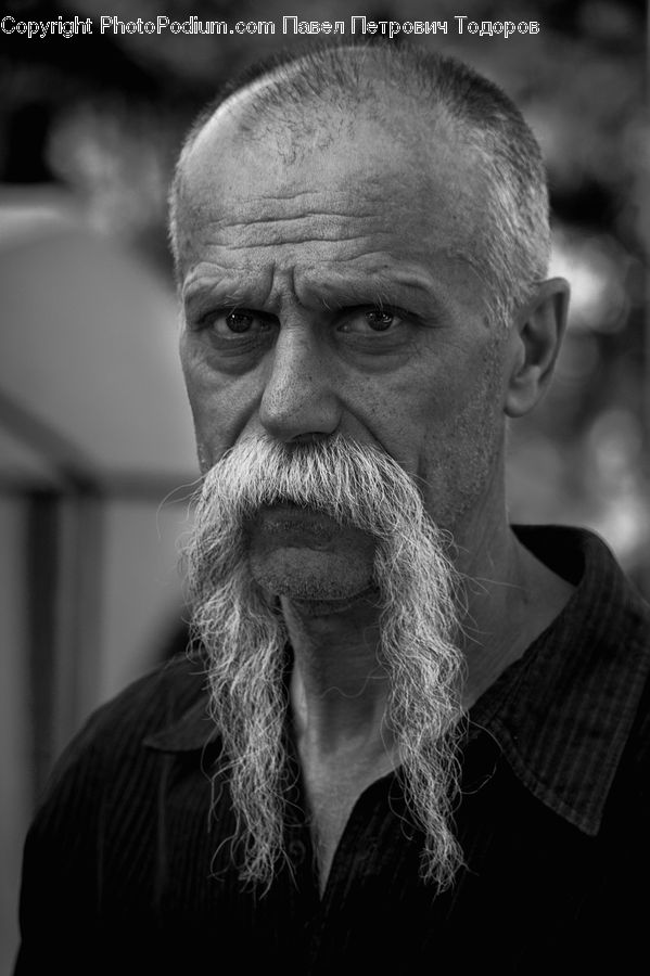 People, Person, Human, Beard, Hair, Portrait