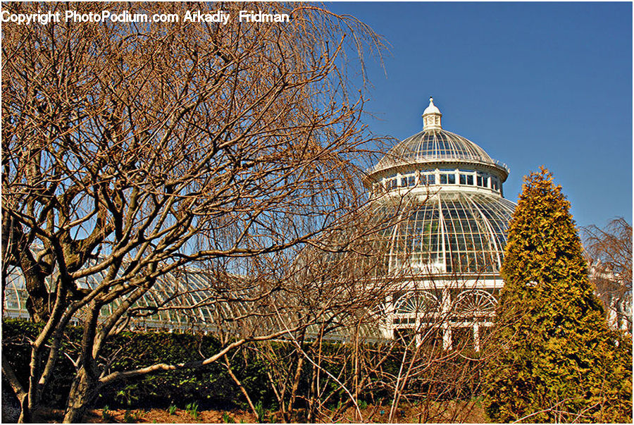 Architecture, Dome, Building, Office Building, Bell Tower, Clock Tower, Tower