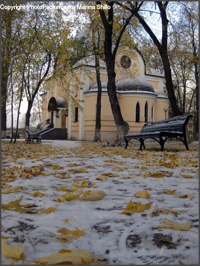 Bench, Flood, Building, Housing, Villa, Park Bench, Gazebo