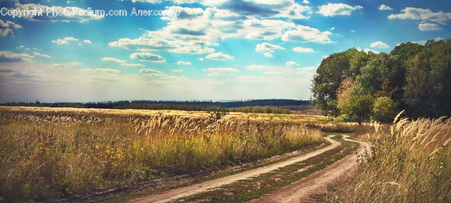 Dirt Road, Gravel, Road, Countryside, Outdoors, Field, Path