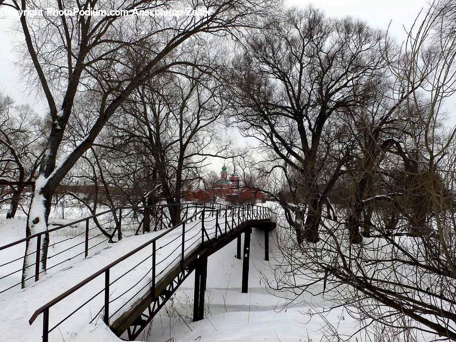 Park, Plant, Tree, Bridge, Path, Trail, Boardwalk