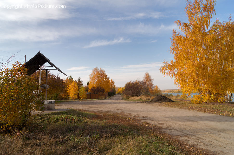 Dirt Road, Gravel, Road, Building, Shack, Shelter, Conifer