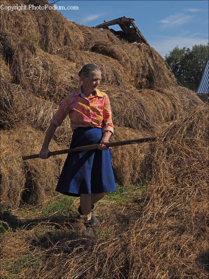 Human, People, Person, Countryside, Hay, Straw, Outdoors