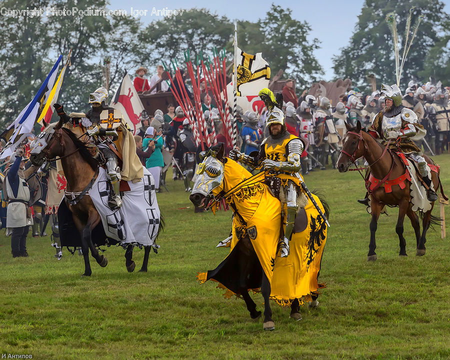 Animal, Horse, Mammal, Armor, Carnival, Festival, Equestrian