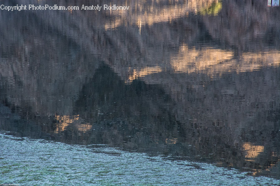 Cliff, Outdoors, Sea, Water, Forest, Vegetation, Field