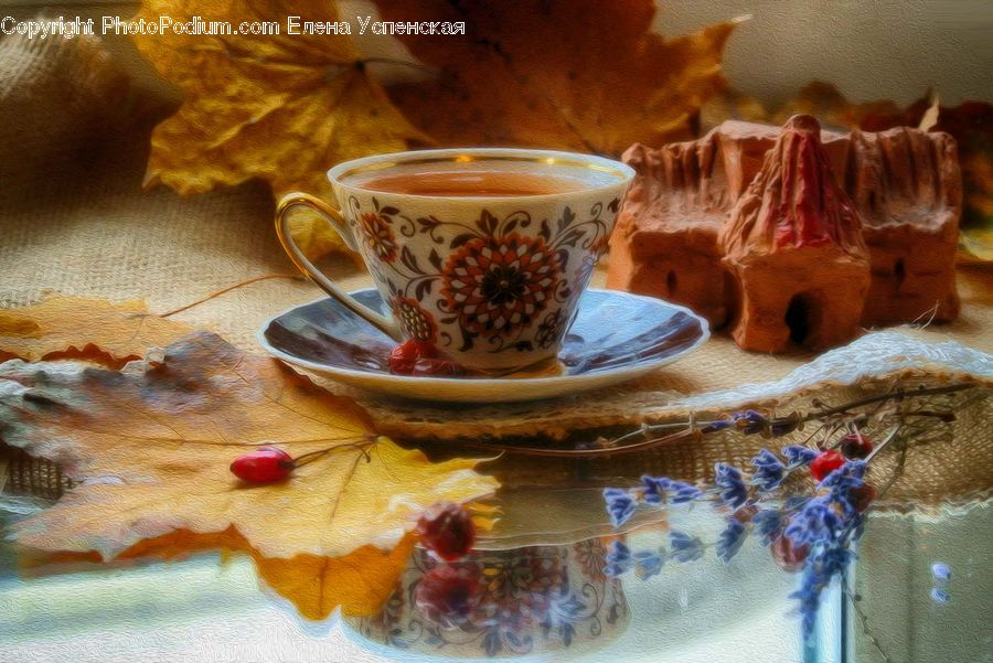 People, Person, Human, Cup, Porcelain, Saucer, Coffee Cup