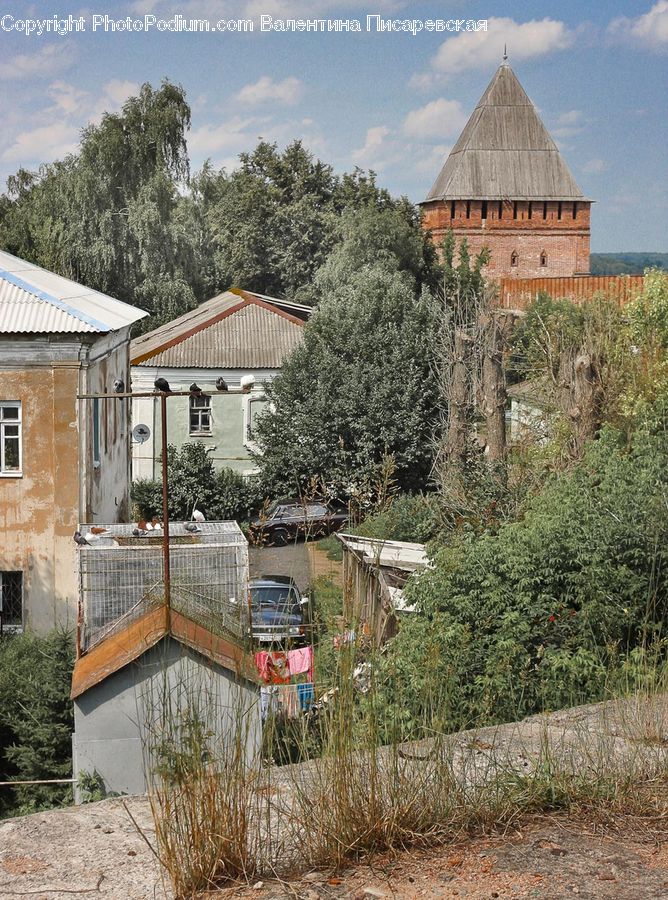 Building, Cottage, Housing, Bush, Plant, Vegetation, Architecture