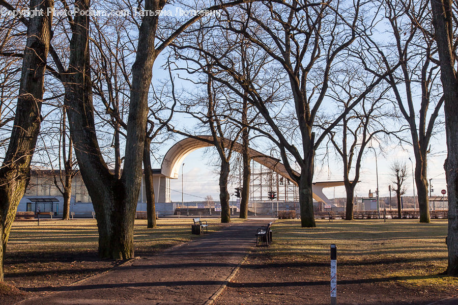 Park Bench, Park, Plant, Tree, Building, Cottage, Housing