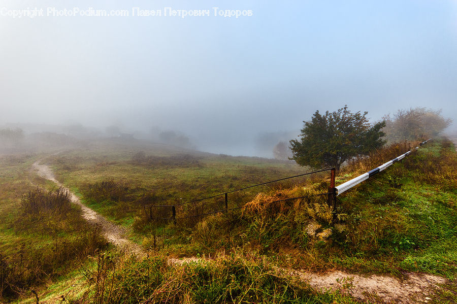 Dirt Road, Gravel, Road, Fog, Mist, Outdoors, Field