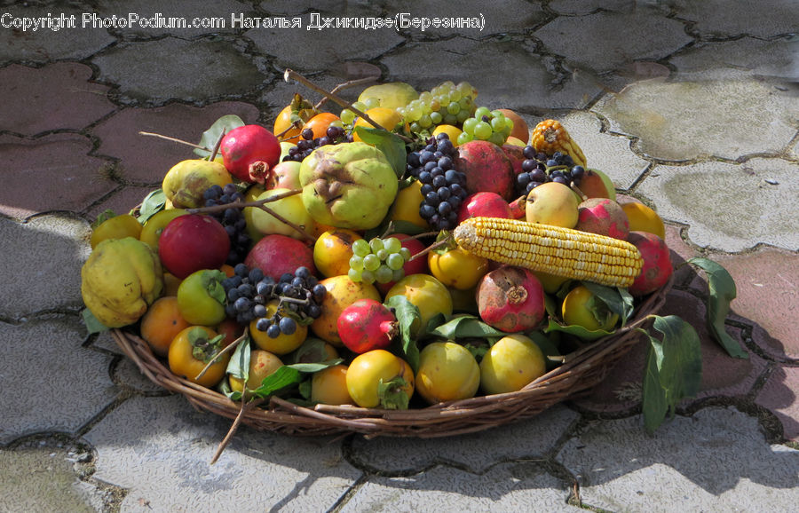 Citrus Fruit, Fruit, Orange, Apple, Bowl, Food, Flower