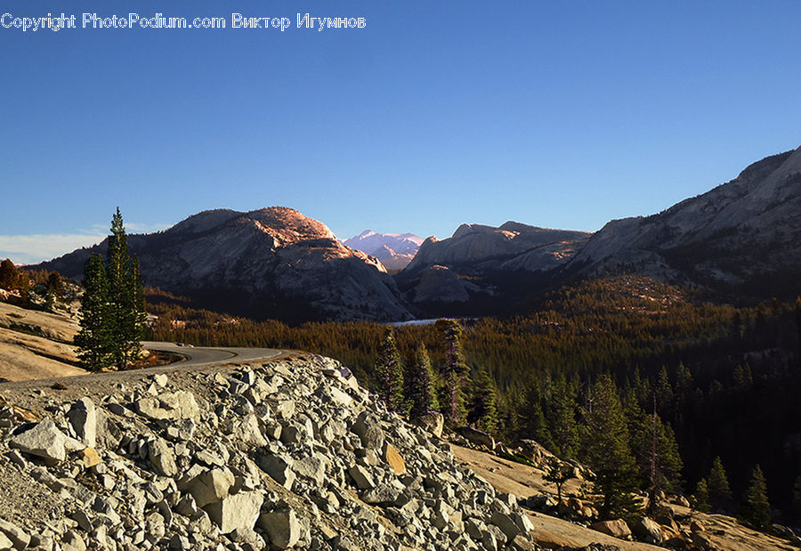 Crest, Mountain, Outdoors, Peak, Conifer, Larch, Tree