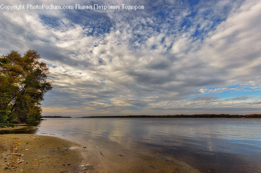 Beach, Coast, Outdoors, Sea, Water, Plant, Tree