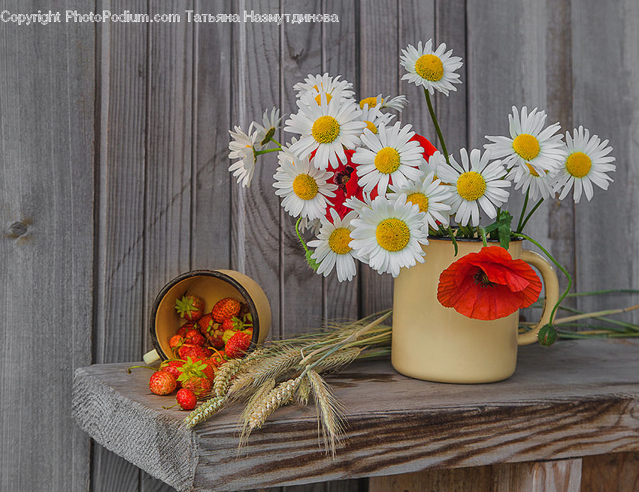Daisies, Daisy, Flower, Plant, Floral Design, Flower Arrangement, Flower Bouquet