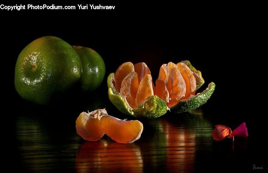 Citrus Fruit, Fruit, Orange, Grapefruit, Bell Pepper, Pepper, Produce
