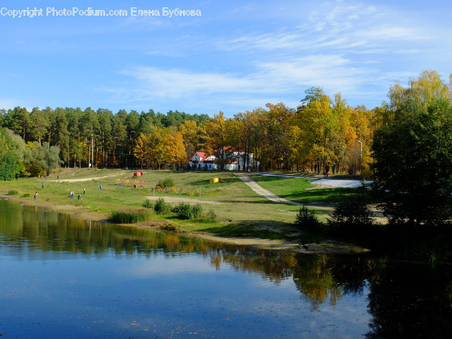 Golf Course, Grassland, Outdoors, Pond, Water, Forest, Vegetation