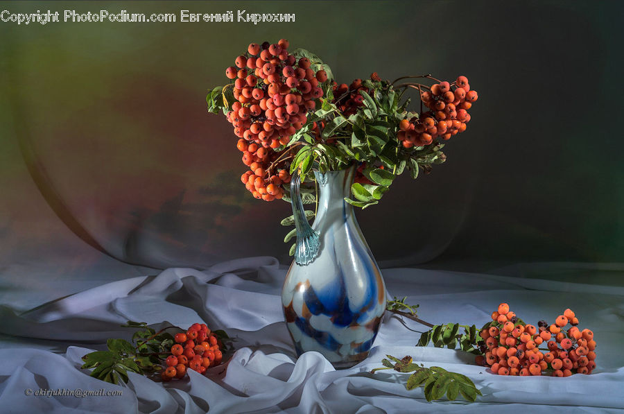 Jar, Porcelain, Vase, Plant, Potted Plant, Bowl, Floral Design